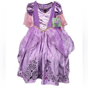 Disney princess costume ( Rapunzel)